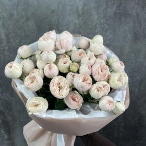 Букет из 11 пионовидных роз